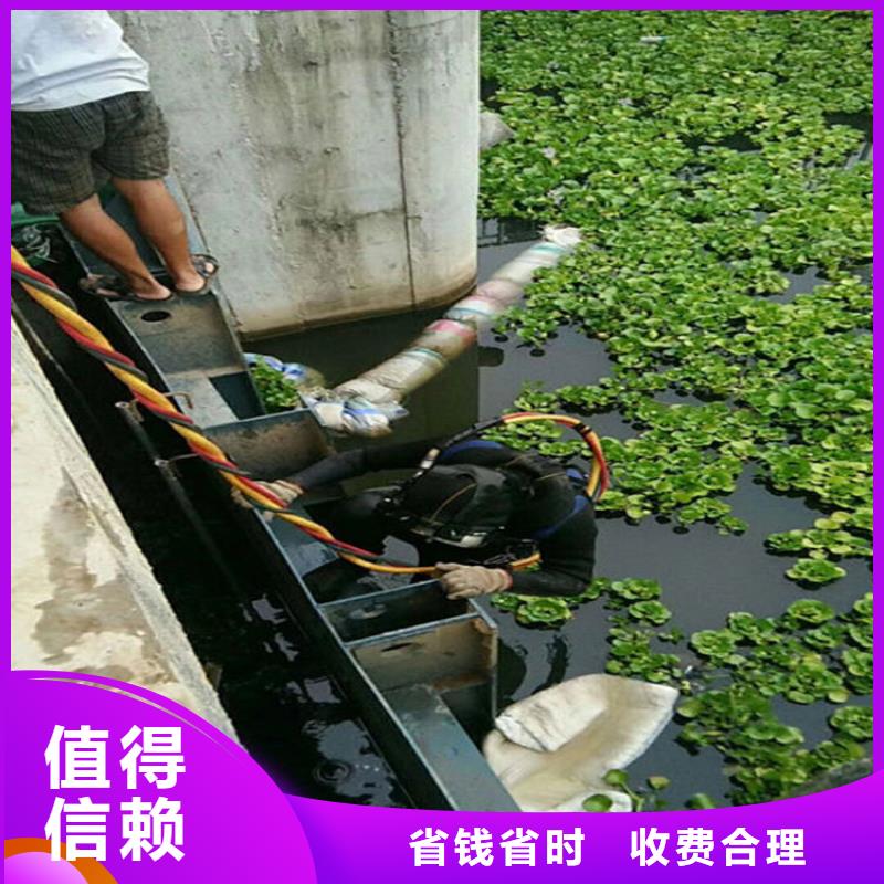 枣庄咨询蛙人水下摄像 质量保证蛟龙潜水