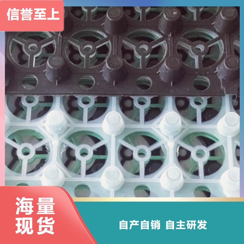 淮南现货塑料排水板2024-新推荐