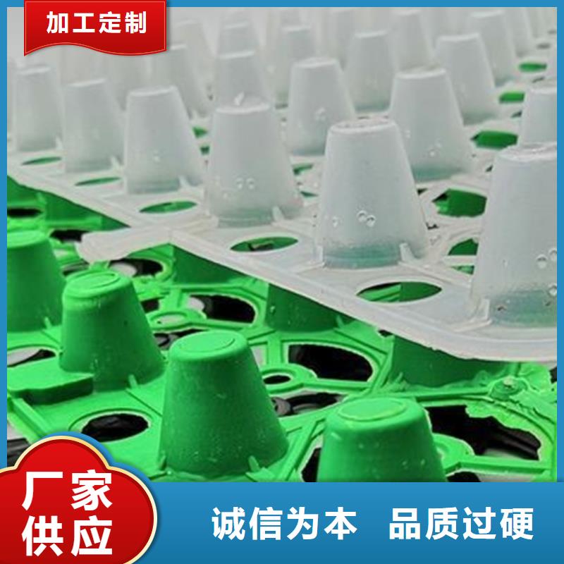 沧州本土塑料排水板厂家欢迎订购