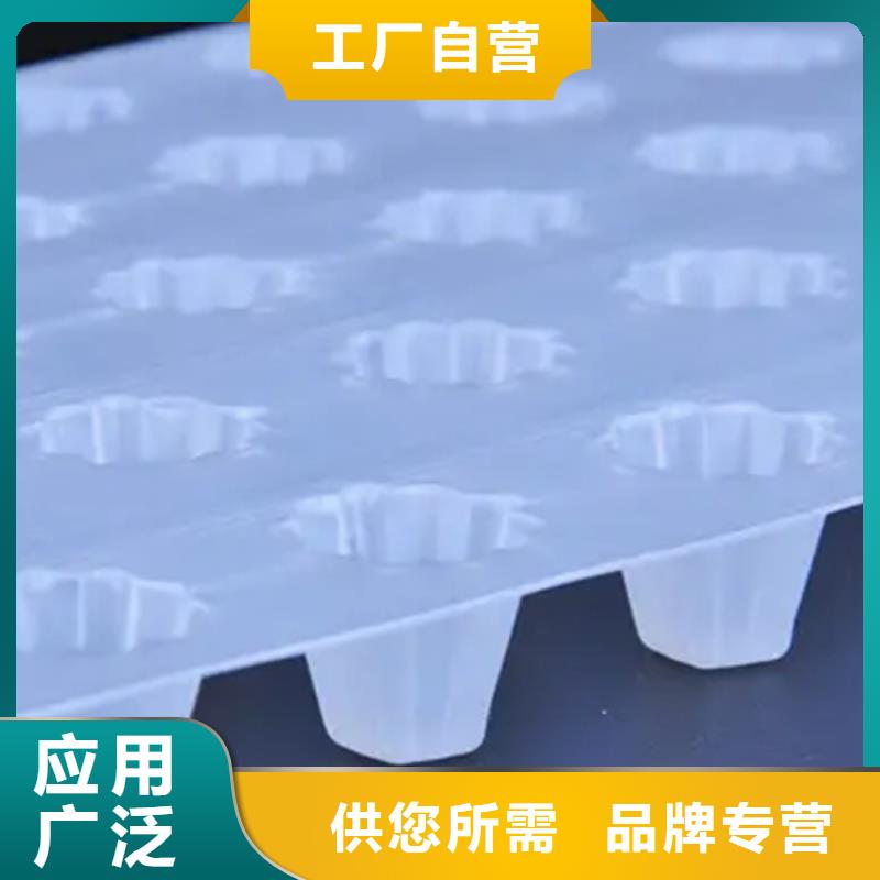 周口生产塑料排水板公司-直营
