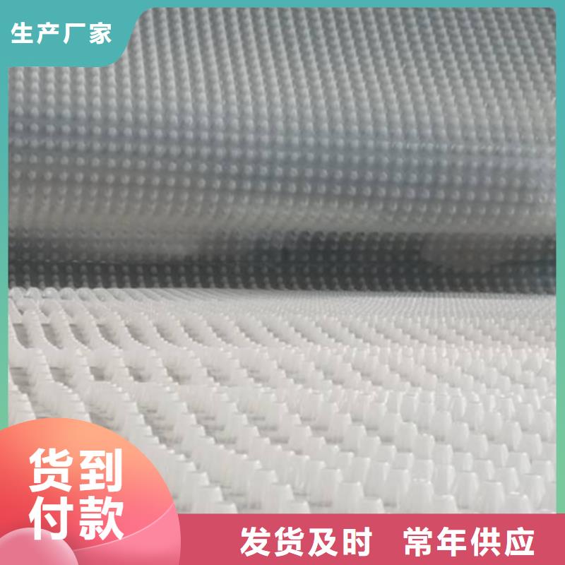【朝阳】直销塑料排水板质量保证