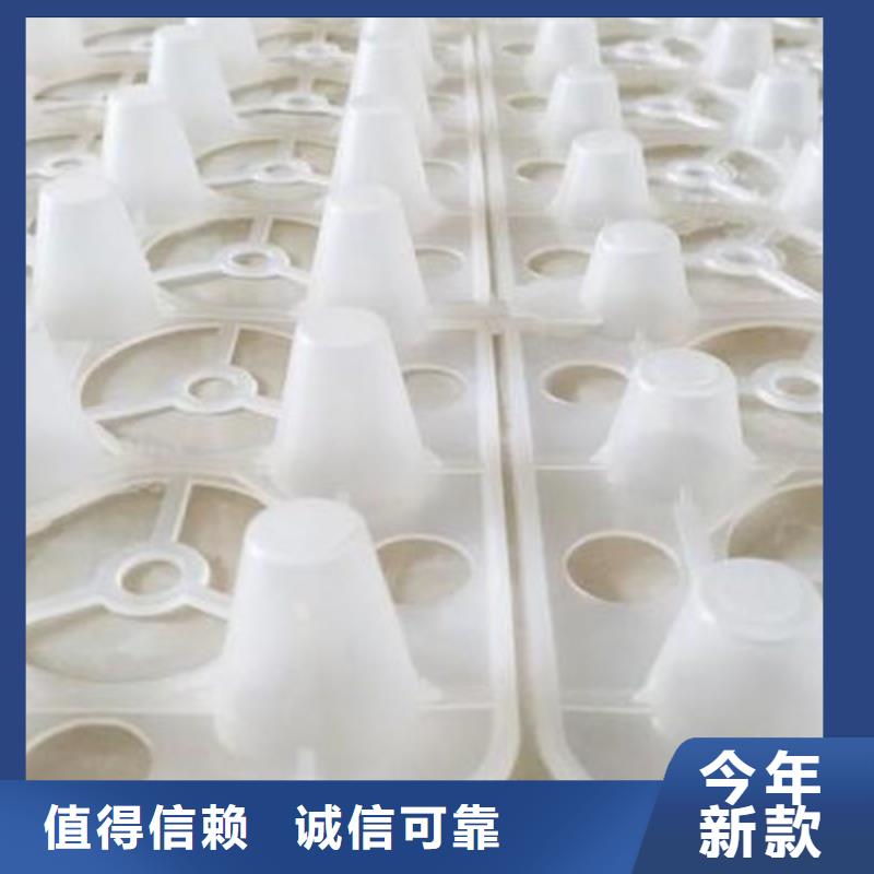 江门定制塑料排水板2024-新推荐