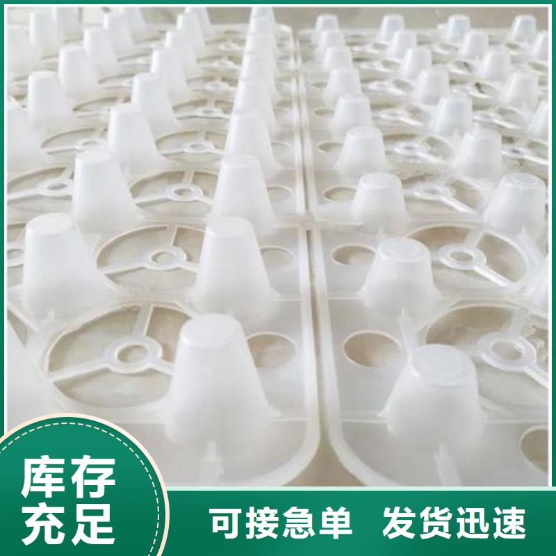【萍乡】订购塑料排水板供应
