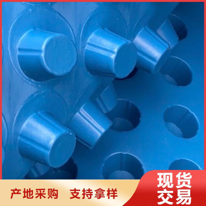 沧州周边塑料排水板价格优惠