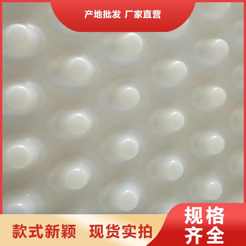 台州定制塑料排水板公司-直营