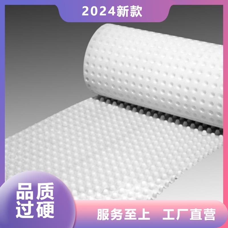 江门定制塑料排水板2024-新推荐
