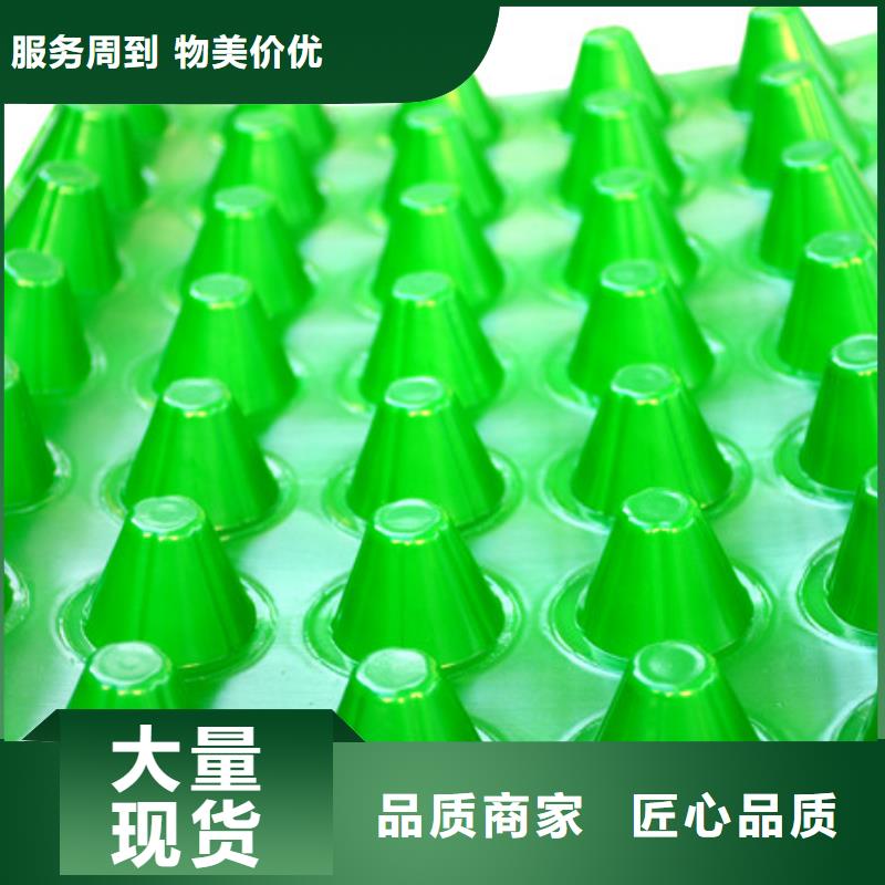 沧州本土塑料排水板厂家欢迎订购