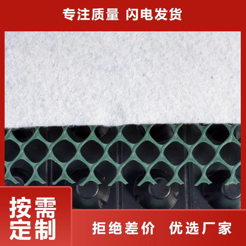 【扬州】询价排水板质量保证