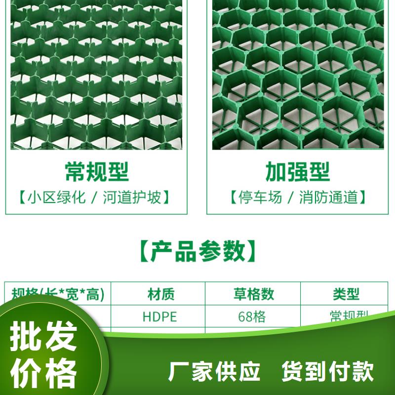 分类和特点【朋联】塑料植草格价格及厂家推荐