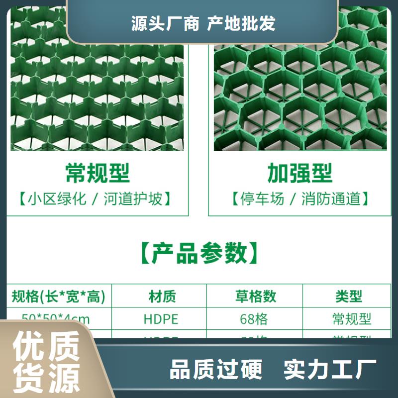绥化生产塑料植草格价格@2023更新中
