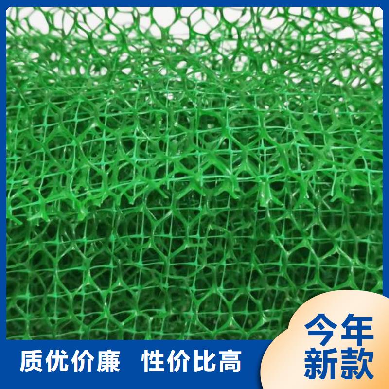 安庆品质三维植被网 安庆品质护坡土工网厂家
