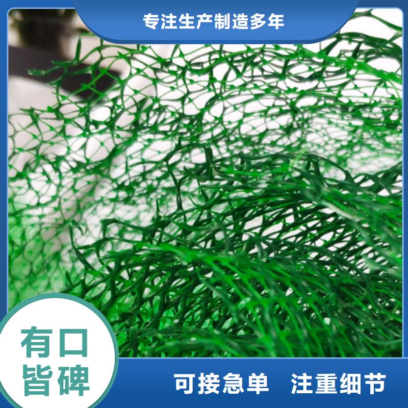 沧州采购三维植被网 沧州采购三维土工网垫