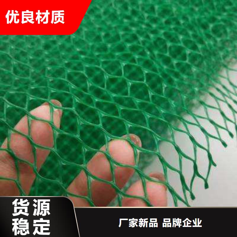 安庆品质三维植被网 安庆品质护坡土工网厂家