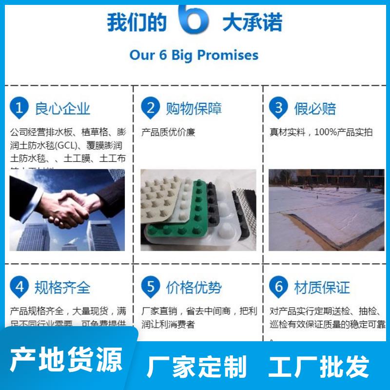南京直销凹凸型塑料排蓄水板-多少钱