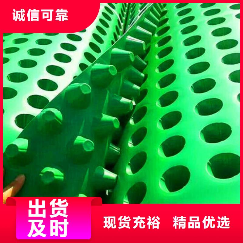专业生产厂家(秉薪)塑料排水板-厂家批发