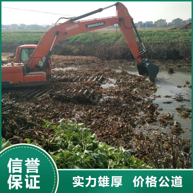 上海咨询
水陆挖机出租保养