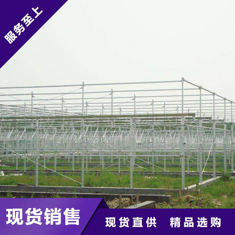 青山湖区养殖大棚黑白膜工厂直销2024乡村振兴计划