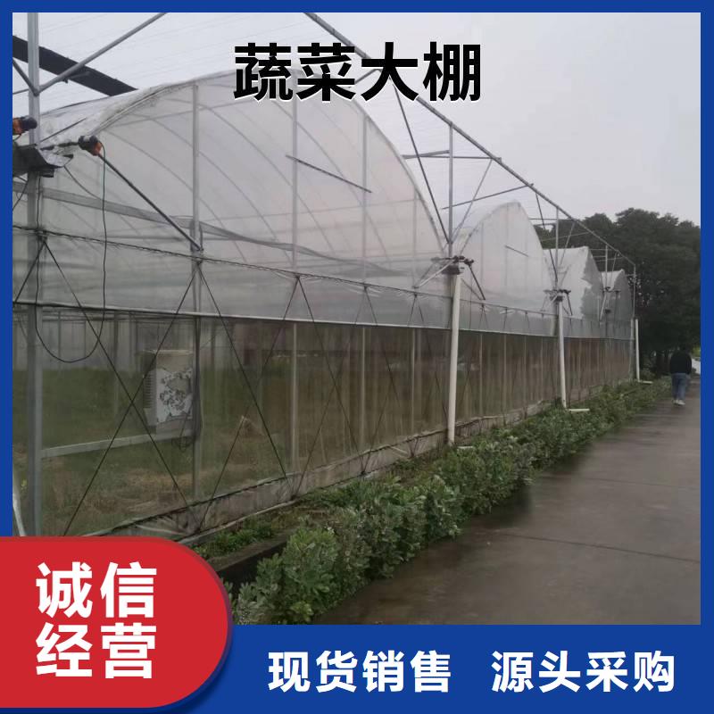 丹江口市葡萄沃柑种植大棚施工团队