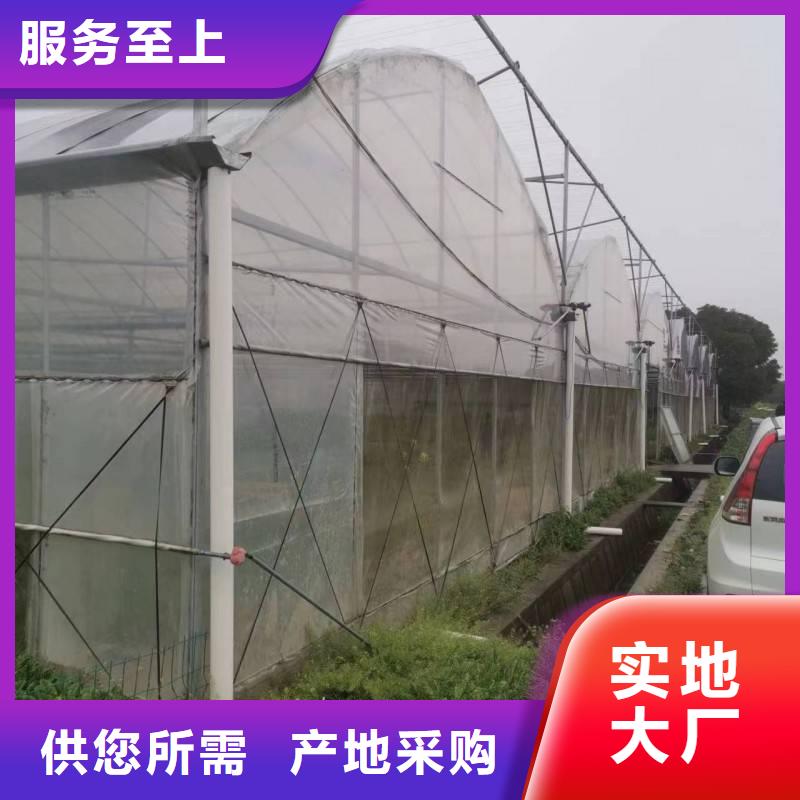 广东省珠海南水镇草莓西瓜擦地棚现货价格