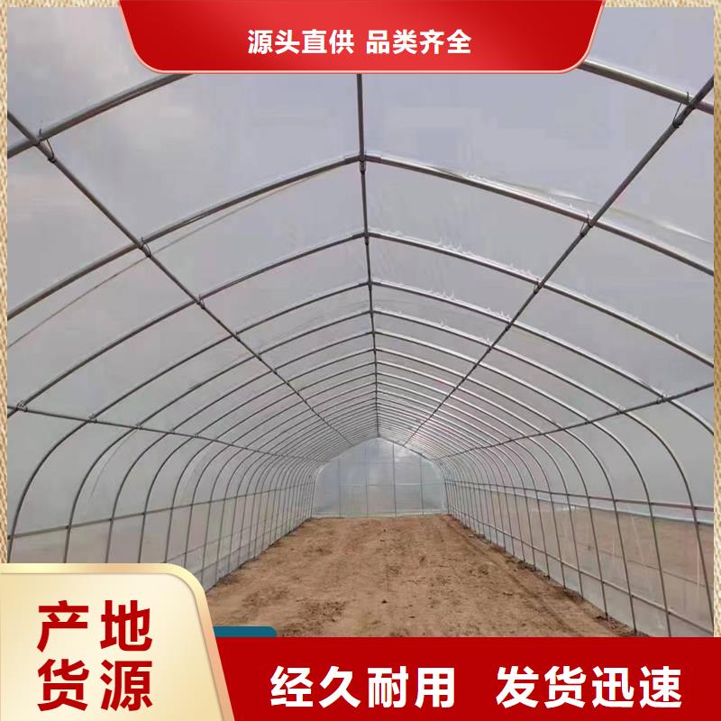 昌图县GP825单体蔬菜大棚厂家价格