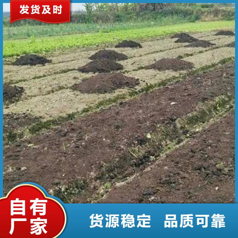 惠州周边鸡粪破除土壤板结