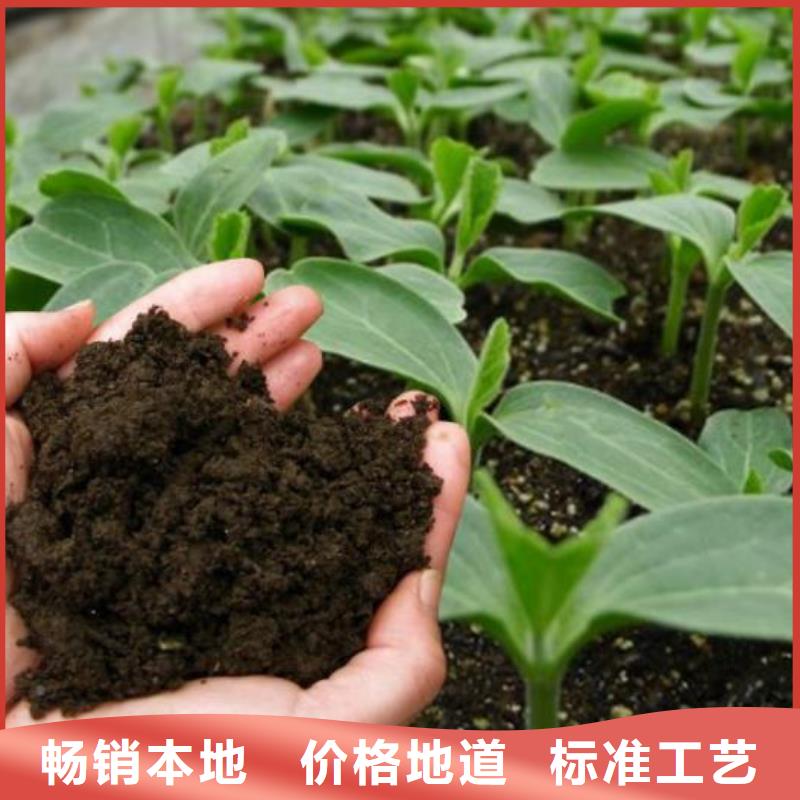 徐州同城市有机肥提升水果口感