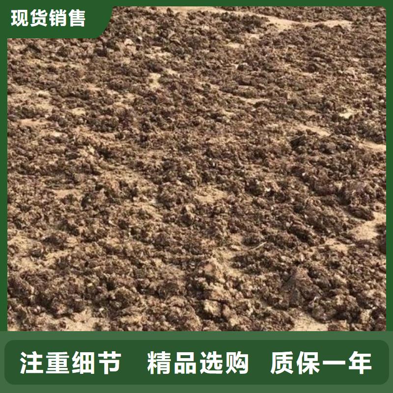 深圳布吉街道稻壳鸡粪破除土壤板结