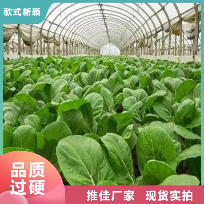上海咨询有机肥循环利用