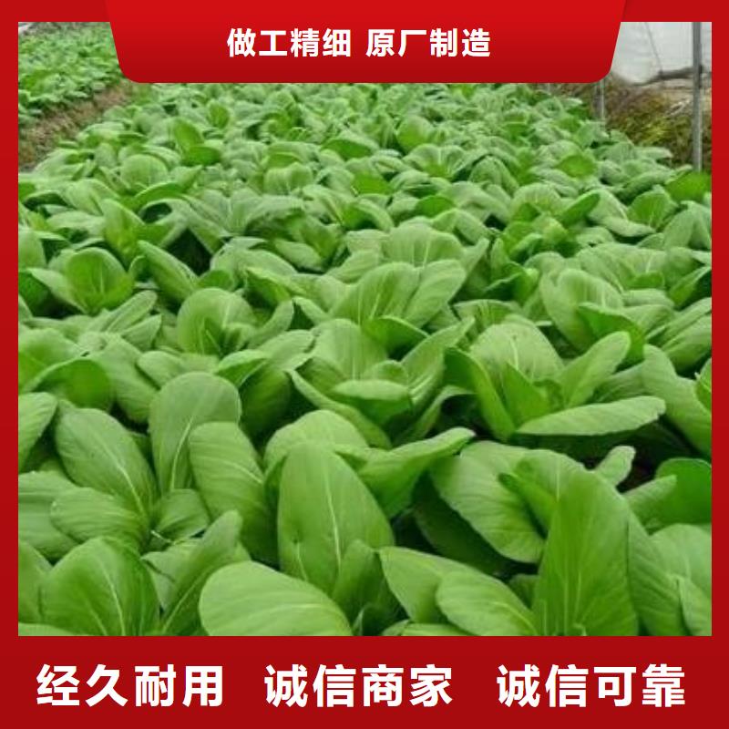 金华衢州杭州有机肥农民朋友喜欢用