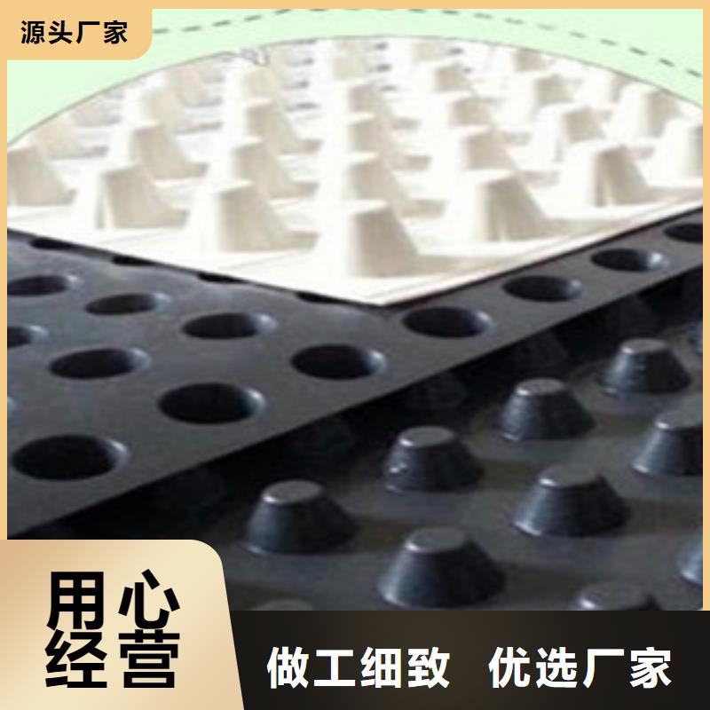 【塑料排水板】-玻纤土工格栅专业按需定制