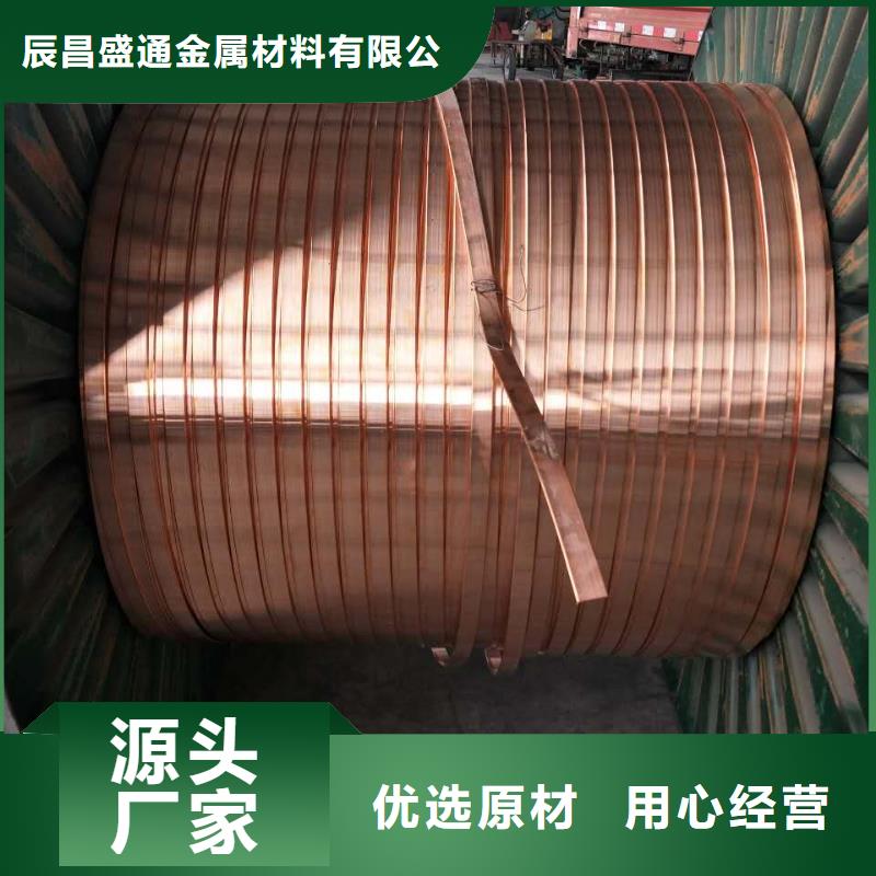 江西周边镀锡铜绞线TJX50mm2/铜绞线行情/图/生产厂家