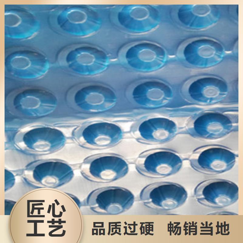 塑料排水板【排水板厂家】快速发货