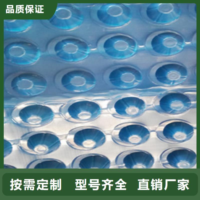 塑料排水板虹吸排水板厂家自产自销