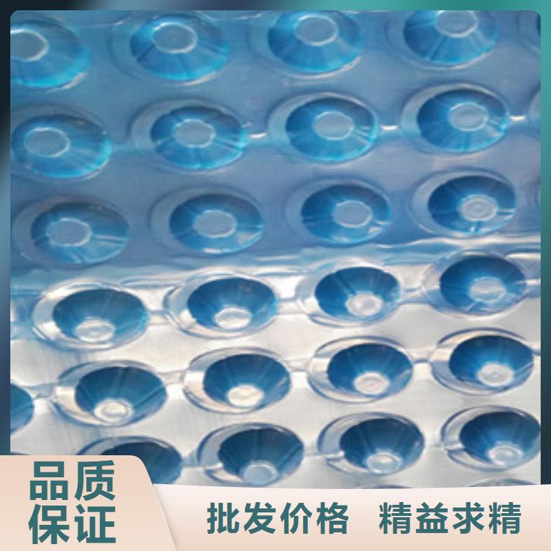 塑料排水板【排水板厂家】厂家货源稳定
