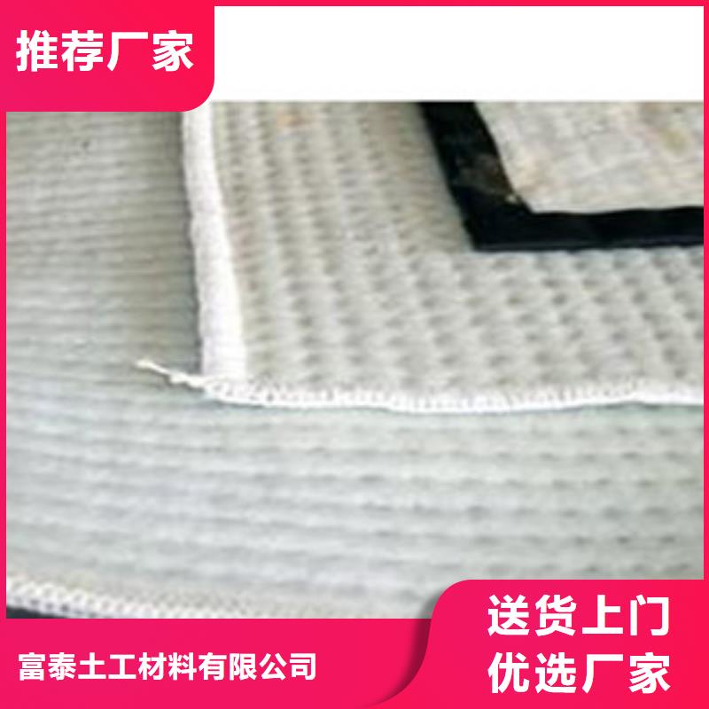 核心技术(富泰)防水毯-【无纺布厂家】拒绝差价