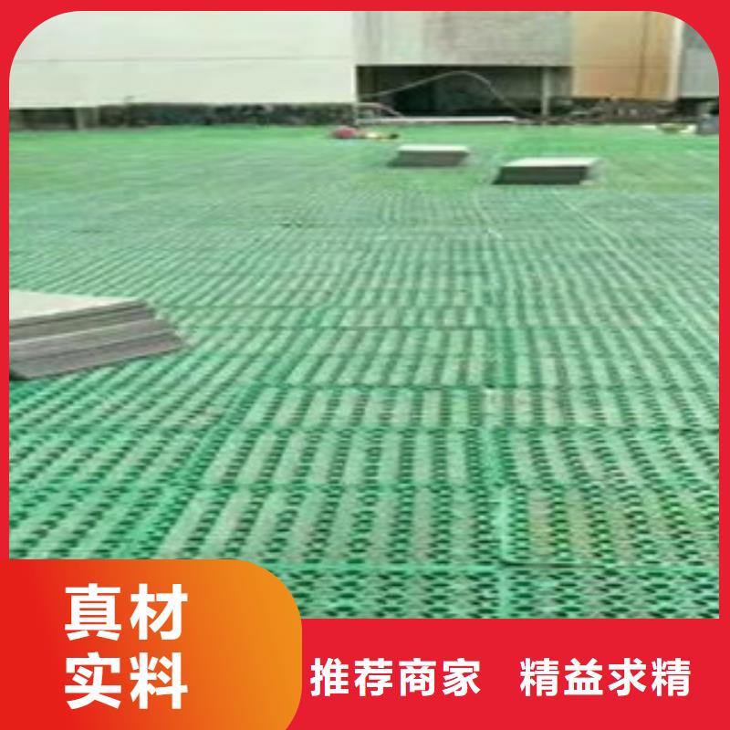 屋顶绿化蓄排水板富泰土工材料有限公司厂家直销
