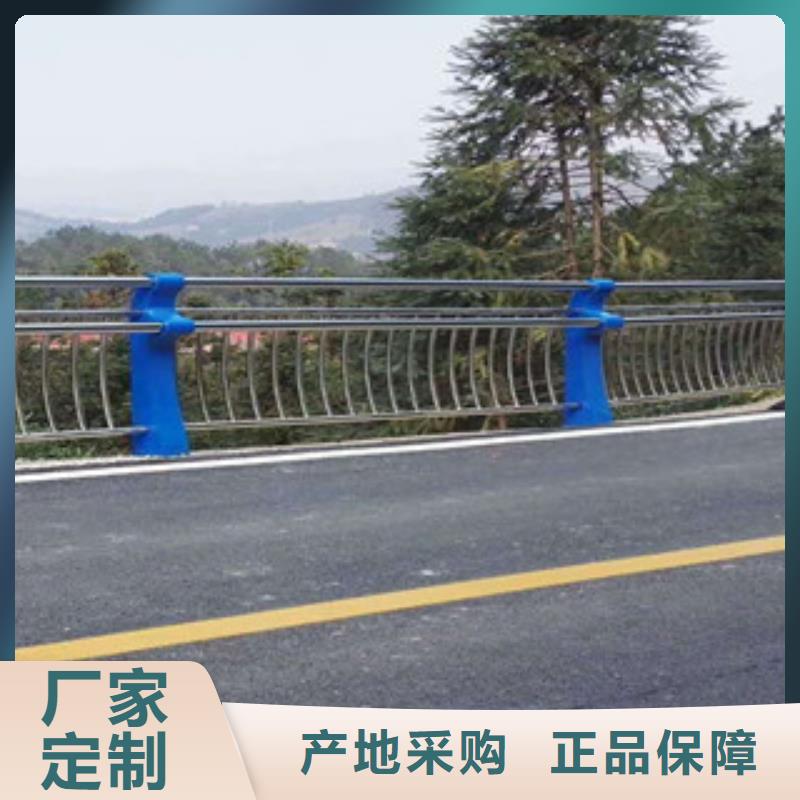 直销<飞龙>生产桥梁河道护栏厂家不锈钢桥梁护栏厂家展销会实力厂家