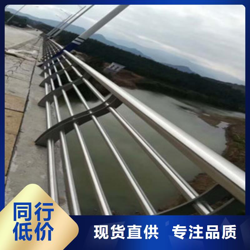 优选(飞龙)生产铝合金护栏厂家不锈钢桥梁护栏厂家展销会实力厂家